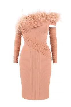 Blush Mesh Corset Dress -Pinkyy Kleider Geschaft 1604634845 sb6584 01