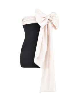 Black & Ivory Bow Mini Dress -Pinkyy Kleider Geschaft 1668128370 sb8808 01