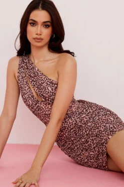 Animal Print Cut Out Mini Dress -Pinkyy Kleider Geschaft clementine 8