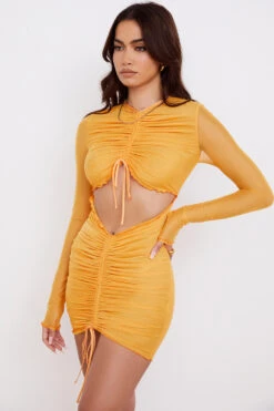 Orange Ruched Mesh Long Sleeve Cutout Mini Dress -Pinkyy Kleider Geschaft jeanelle 6