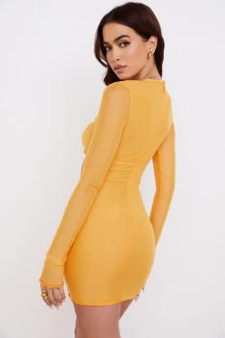 Orange Ruched Mesh Long Sleeve Cutout Mini Dress -Pinkyy Kleider Geschaft jeanelle 7