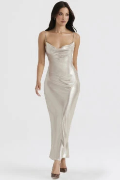 Champagne Shimmer Low Back Maxi Dress -Pinkyy Kleider Geschaft leia 13z