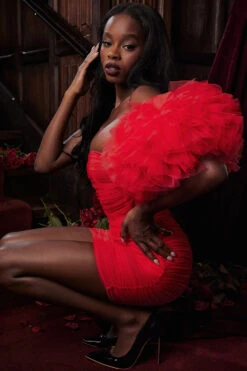 Scarlet Ruffle Sleeve Dress -Pinkyy Kleider Geschaft look 06 2675