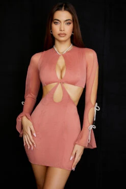 Rose Crystal Trim Cutout Mini Dress