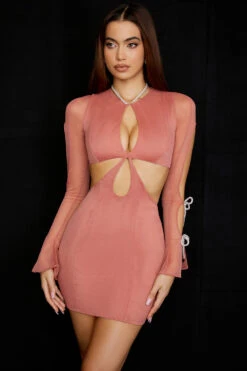 Rose Crystal Trim Cutout Mini Dress -Pinkyy Kleider Geschaft miranda 5