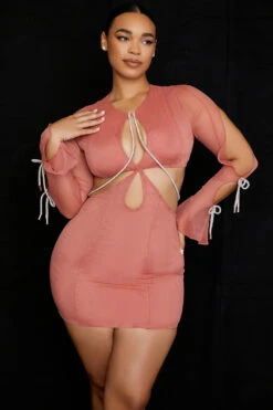 Rose Crystal Trim Cutout Mini Dress -Pinkyy Kleider Geschaft miranda 7