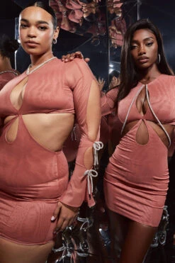 Rose Crystal Trim Cutout Mini Dress -Pinkyy Kleider Geschaft miranda r21