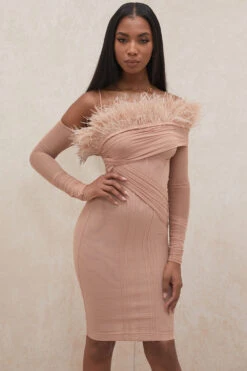 Blush Mesh Corset Dress -Pinkyy Kleider Geschaft naira 17