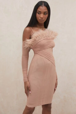 Blush Mesh Corset Dress -Pinkyy Kleider Geschaft naira 18