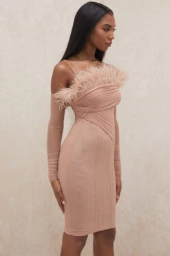 Blush Mesh Corset Dress -Pinkyy Kleider Geschaft naira 22