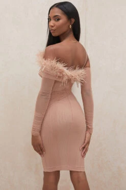 Blush Mesh Corset Dress -Pinkyy Kleider Geschaft naira 24