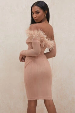 Blush Mesh Corset Dress -Pinkyy Kleider Geschaft naira 25