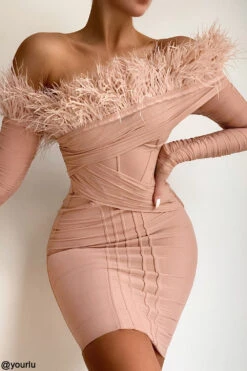 Blush Mesh Corset Dress -Pinkyy Kleider Geschaft naira b41
