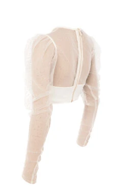 Ivory Crystal Cropped Top 25 Ivory Crystal Cropped Top -Pinkyy Kleider Geschaft sb4981 serena 02d