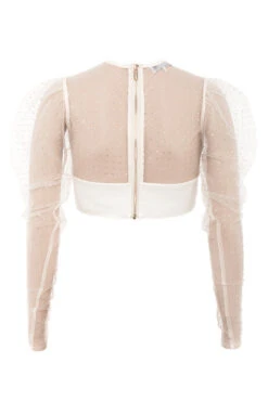 Ivory Crystal Cropped Top 26 Ivory Crystal Cropped Top -Pinkyy Kleider Geschaft sb4981 serena 03d