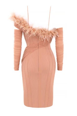 Blush Mesh Corset Dress -Pinkyy Kleider Geschaft sb6584 03