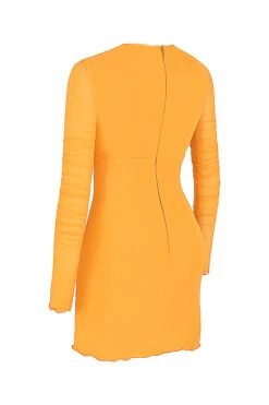 Orange Ruched Mesh Long Sleeve Cutout Mini Dress -Pinkyy Kleider Geschaft sb7321 02a
