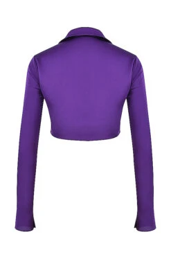 Grape Satin Cropped Tie Front Top -Pinkyy Kleider Geschaft sb7802 03