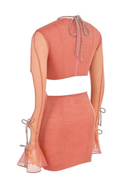 Rose Crystal Trim Cutout Mini Dress -Pinkyy Kleider Geschaft sb7861 02r