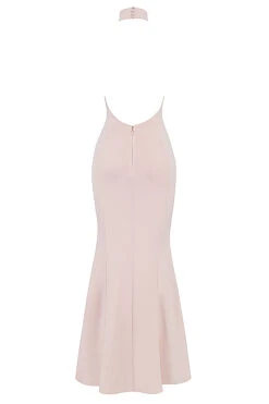 Blush Halter Gown -Pinkyy Kleider Geschaft sb8261a 03