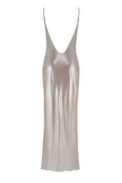 Champagne Shimmer Low Back Maxi Dress -Pinkyy Kleider Geschaft sb8645 03