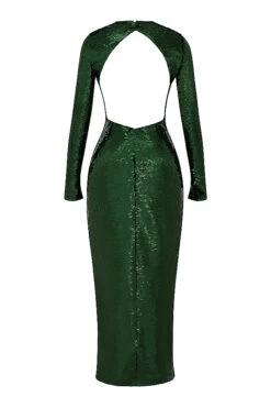 Pine Green Sequin Maxi Dress -Pinkyy Kleider Geschaft sb8804 03