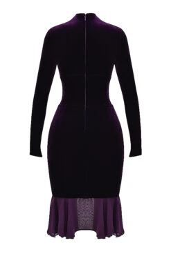Dark Purple Velvet Corset Dress -Pinkyy Kleider Geschaft sb8832 03